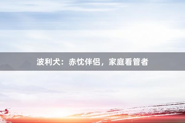 波利犬：赤忱伴侣，家庭看管者
